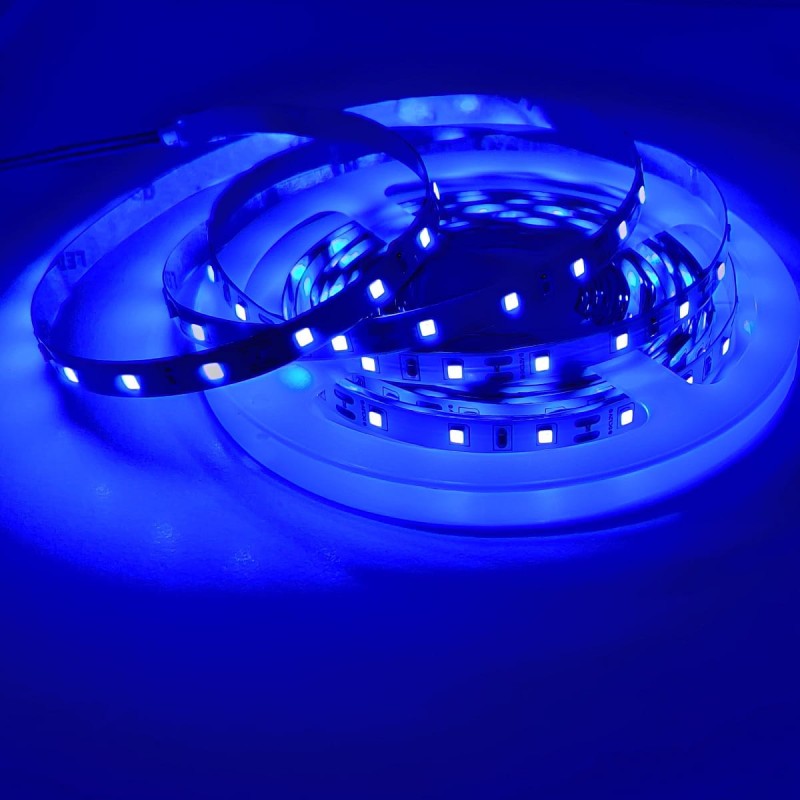 Taśma 300 LED SMD2835 IP20 niebieska 1m