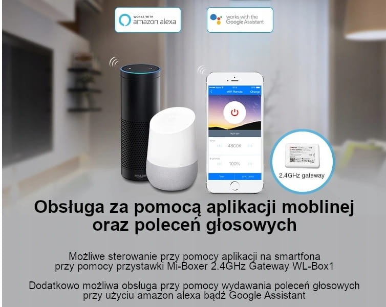 sterowanie alexa.jpg