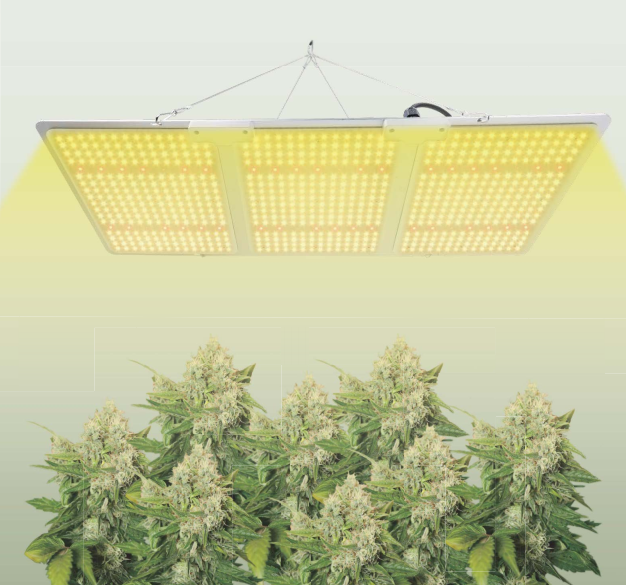 Lampa LED GrowBox do uprawy roślin Indoor 210W SUR-HL200