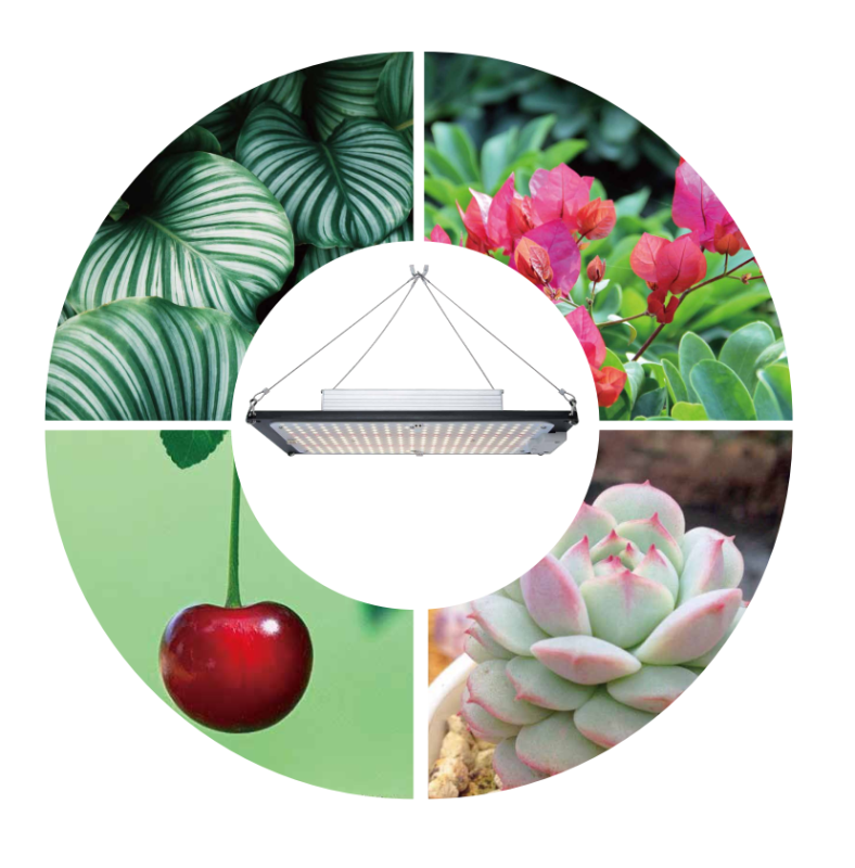 Lampa LED GrowBox do uprawy roślin Indoor 120W SUR-GL120