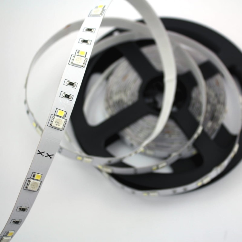 Taśma RGBW +zimny SMD2835